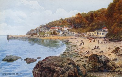 Spiaggia di Babbacombe da Alfred Robert Quinton